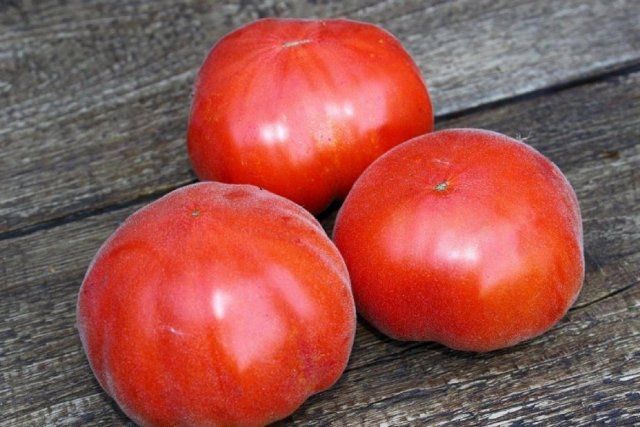 Пушистые сорта томатов – 15 вариантов для теплицы и открытого грунта 