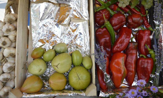 28 способов ускорить созревание томатов, перца, баклажанов и других овощей 