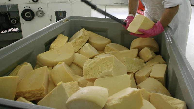 В Подмосковье построят завод по производству сыров