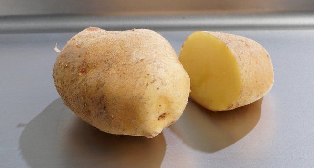 50 сортов картофеля для пюре, жарки, запекания и картошки фри 