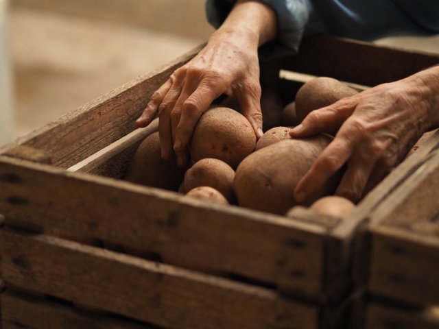 Почему картошка не хранится 