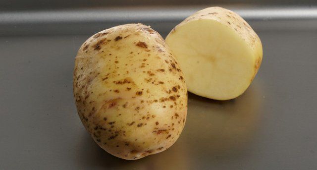 40 сортов картофеля для пюре, жарки, запекания и картошки фри 