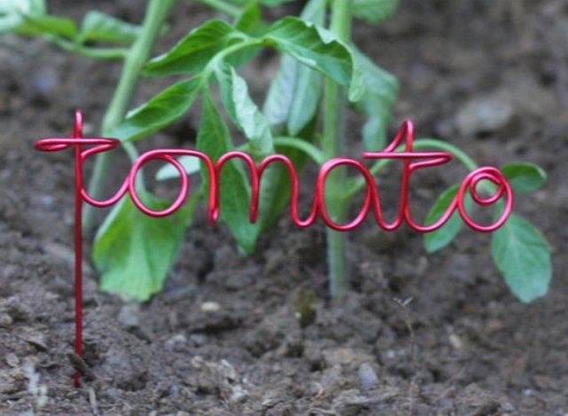 Бирки для томатов: из чего и как сделать, закрепить, и зачем они нужны 